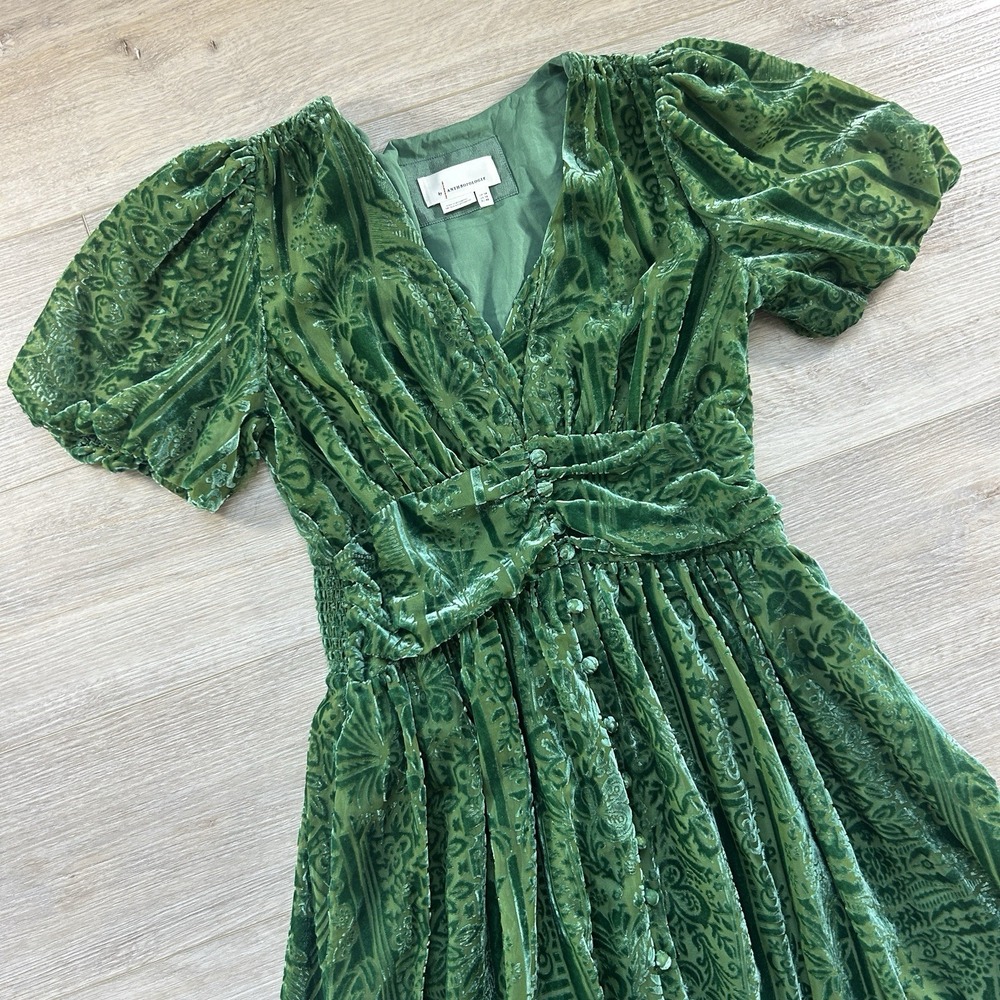 Anthropologie Size 10 Green Puff-Sleeved Burnout Velvet Maxi Dress Gala - Picture 3 of 14